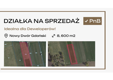 Działka na sprzedaż - Zielona Nowy Dwór Gdański, nowodworski, 8600 m², 1 980 000 PLN, NET-1539164998