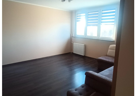 Mieszkanie na sprzedaż - Glinki Glinki-Rupienica, Bydgoszcz, 35,4 m², 300 000 PLN, NET-1539725963