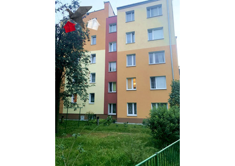 Mieszkanie do wynajęcia - Kosińskiego Sochaczew, sochaczewski, 50 m², 1950 PLN, NET-1539859222