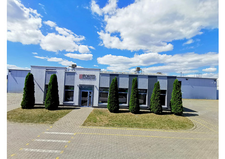 Handlowo-usługowy na sprzedaż - Świerkowa Niepruszewo, Buk, poznański, 10 103 m², 5 900 000 PLN, NET-1539232495