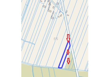 Działka na sprzedaż - Zelów, Bełchatowski, 4300 m², 258 000 PLN, NET-P55-GS-10412-88