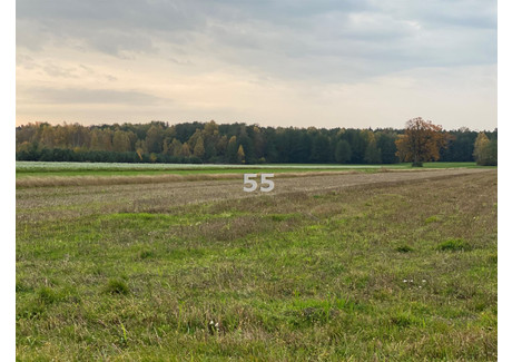 Działka na sprzedaż - Ślądkowice, Dłutów, Pabianicki, 12 900 m², 387 000 PLN, NET-P55-GS-10158-87