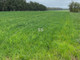 Rolny na sprzedaż - Wrzeszczewice, Łask, Łaski, 4894 m², 189 000 PLN, NET-P55-GS-9932-111