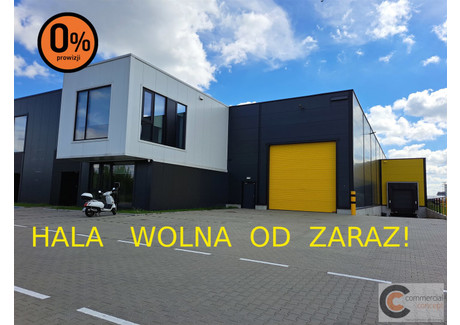 Magazyn do wynajęcia - Rybitwy, Podgórze, Kraków, Kraków M., 1078 m², 25 565 PLN, NET-CCN-HW-3438