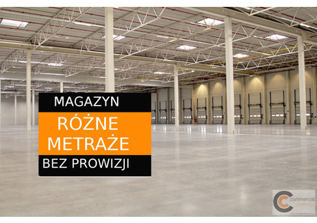 Magazyn do wynajęcia - Rzeszów, Rzeszów M., 2500 m², 47 500 PLN, NET-CCN-HW-3377