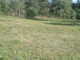 Rolny na sprzedaż - Jedlicze B, Zgierz, Zgierski, 2339 m², 295 000 PLN, NET-LDR-GS-1713