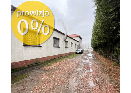 Magazyn, hala na sprzedaż - Świętochłowice, 440 m², 2 850 000 PLN, NET-6/15243/OOS