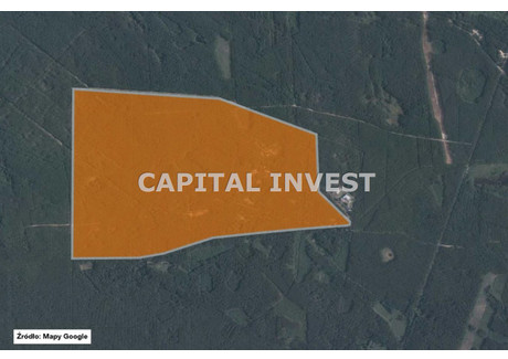 Działka na sprzedaż - Borucza, Strachówka, Wołomiński, 1 594 300 m², 9 000 000 PLN, NET-CPI-GS-1624