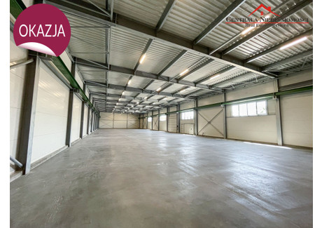 Magazyn, hala do wynajęcia - Bielawy, Toruń, 3000 m², 81 000 PLN, NET-43/4957/OHW