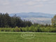 Rolny na sprzedaż - Mieroszów, Wałbrzyski, 99 900 m², 1 578 420 PLN, NET-796301
