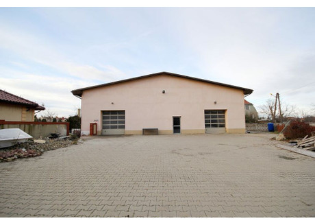 Lokal do wynajęcia - Jawor, Jaworski, 300 m², 7000 PLN, NET-43/4132/OLW