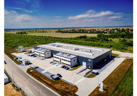 Magazyn, hala do wynajęcia - Brzeg, Brzeski, 6119,12 m², 116 263 PLN, NET-1000/3186/OOW