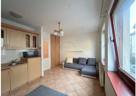 Mieszkanie na sprzedaż - Marchewkowa Krzyki, Wrocław-Krzyki, Wrocław, 21,2 m², 329 000 PLN, NET-599609