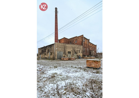 Fabryka, zakład na sprzedaż - Brzostowo, Miasteczko Krajeńskie, Pilski, 1084 m², 450 000 PLN, NET-KZSC-BS-3162