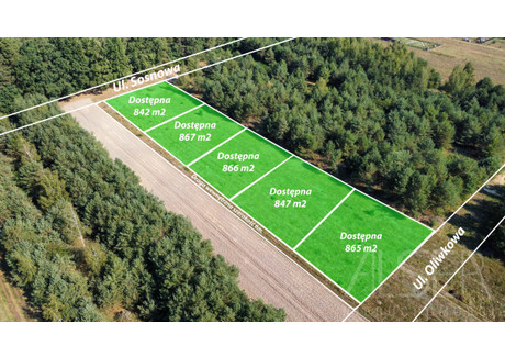 Działka na sprzedaż - Sosnowa Leszczydół-Nowiny, Wyszków, Wyszkowski, 842 m², 105 000 PLN, NET-141860