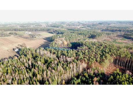 Działka na sprzedaż - Za Gajem Petrykozy, Żabia Wola, Grodziski, 800 m², 111 000 PLN, NET-4210