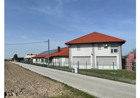 Magazyn na sprzedaż - Ociąż przy DK Ociąż, Nowe Skalmierzyce, Ostrowski, 1188 m², 3 777 000 PLN, NET-13090980