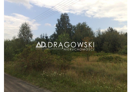 Działka na sprzedaż - Kędzierówka, Prażmów, Piaseczyński, 13 500 m², 2 565 000 PLN, NET-808/4790/OGS