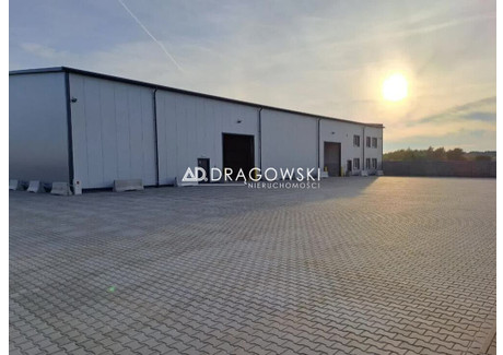 Magazyn, hala do wynajęcia - Wolica, Nadarzyn, Pruszkowski, 1200 m², 40 000 PLN, NET-211/4790/OOW