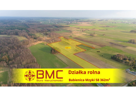 Działka na sprzedaż - Mzyki, Babienica, 58 362 m², 350 000 PLN, NET-615622