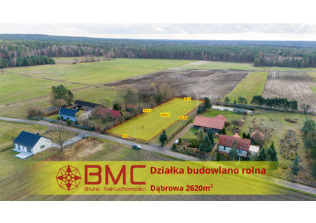 Działka na sprzedaż - Dąbrowa, Przystajń, 2620 m², 129 000 PLN, NET-442261