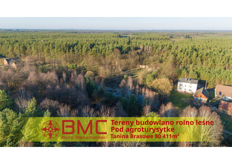 Działka na sprzedaż - Brasowe, Tanina, 80 411 m², 999 000 PLN, NET-117241