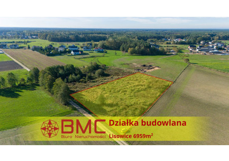 Działka na sprzedaż - Dolna Lisowice, Pawonków, 6959 m², 452 335 PLN, NET-333214