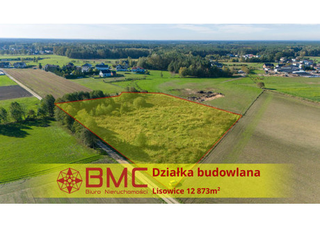 Działka na sprzedaż - Dolna Lisowice, Pawonków, 12 873 m², 746 634 PLN, NET-411757