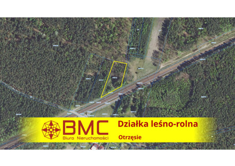 Działka na sprzedaż - Otrzęsie, Chwostek, 2909 m², 37 500 PLN, NET-688888