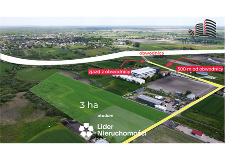 Działka na sprzedaż - Okszówek Chełm, 10 000 m², 1 200 000 PLN, NET-780143