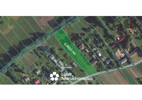 Działka na sprzedaż - Kozice Dolne, Piaski, Świdnicki, 3602 m², 199 000 PLN, NET-308552