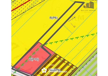 Działka na sprzedaż - Pliszczyn, Wólka, Lubelski, 4165 m², 625 000 PLN, NET-742715