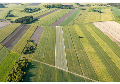 Działka na sprzedaż - Błogosławie, Zakroczym, Nowodworski, 10 300 m², 199 000 PLN, NET-866452