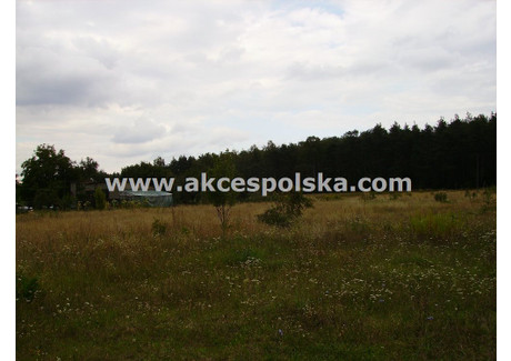 Działka na sprzedaż - Załuski, Płoński, 4300 m², 350 000 PLN, NET-GS-16159