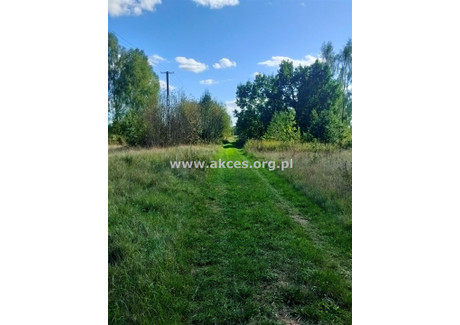 Działka na sprzedaż - Secyminek, Leoncin, Nowodworski, 3569 m², 356 900 PLN, NET-API-GS-144264