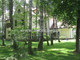 Dom na sprzedaż - Zalesie Dolne, Piaseczno, Piaseczyński, 653 m², 3 400 000 PLN, NET-API-DS-97130-1