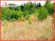 Rolny na sprzedaż - Brzozowa Kruszyn, Sicienko, Bydgoski, 1603 m², 130 000 PLN, NET-586282