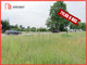 Rolny na sprzedaż - Sucumin, Starogard Gdański, Starogardzki, 6250 m², 499 000 PLN, NET-111653