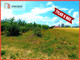 Rolny na sprzedaż - Mochle, Sicienko, Bydgoski, 2997 m², 299 700 PLN, NET-264481
