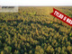 Leśne na sprzedaż - Iwiczno, Kaliska, Starogardzki, 1000 m², 34 500 PLN, NET-785069