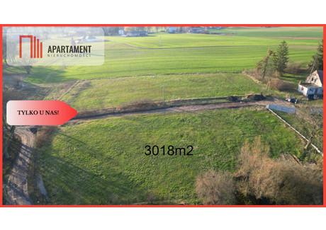 Działka na sprzedaż - Dalwin, Tczew, Tczewski, 3018 m², 270 000 PLN, NET-493909