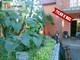Dom na sprzedaż - Szubin, Nakielski, 350 m², 1 600 000 PLN, NET-877886