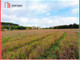 Rolny na sprzedaż - Branica, Bukowiec, Świecki, 5600 m², 420 000 PLN, NET-244682