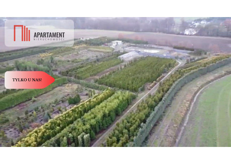 Działka na sprzedaż - Kopaszyn, Prusice, Trzebnicki, 17 300 m², 2 500 000 PLN, NET-334951