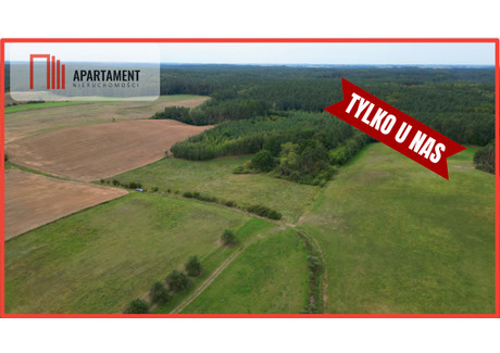 Działka na sprzedaż - Opalenie, Gniew, Tczewski, 46 700 m², 310 000 PLN, NET-160688