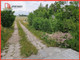 Budowlany na sprzedaż - Rytel, Czersk, Chojnicki, 1662 m², 125 000 PLN, NET-484364