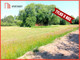 Rolny na sprzedaż - Czarne Błoto, Zławieś Wielka, Toruński, 2459 m², 184 425 PLN, NET-149009