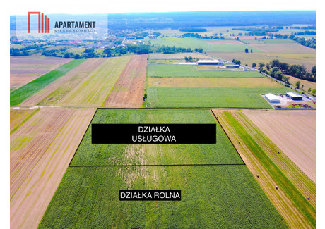 Działka na sprzedaż - Milicz, Milicki, 10 000 m², 800 000 PLN, NET-243796