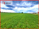 Rolny na sprzedaż - Bysław, Lubiewo, Tucholski, 3000 m², 90 000 PLN, NET-902167