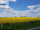 Rolny na sprzedaż - Lisiny, Śliwice, Tucholski, 10 564 m², 800 000 PLN, NET-238013